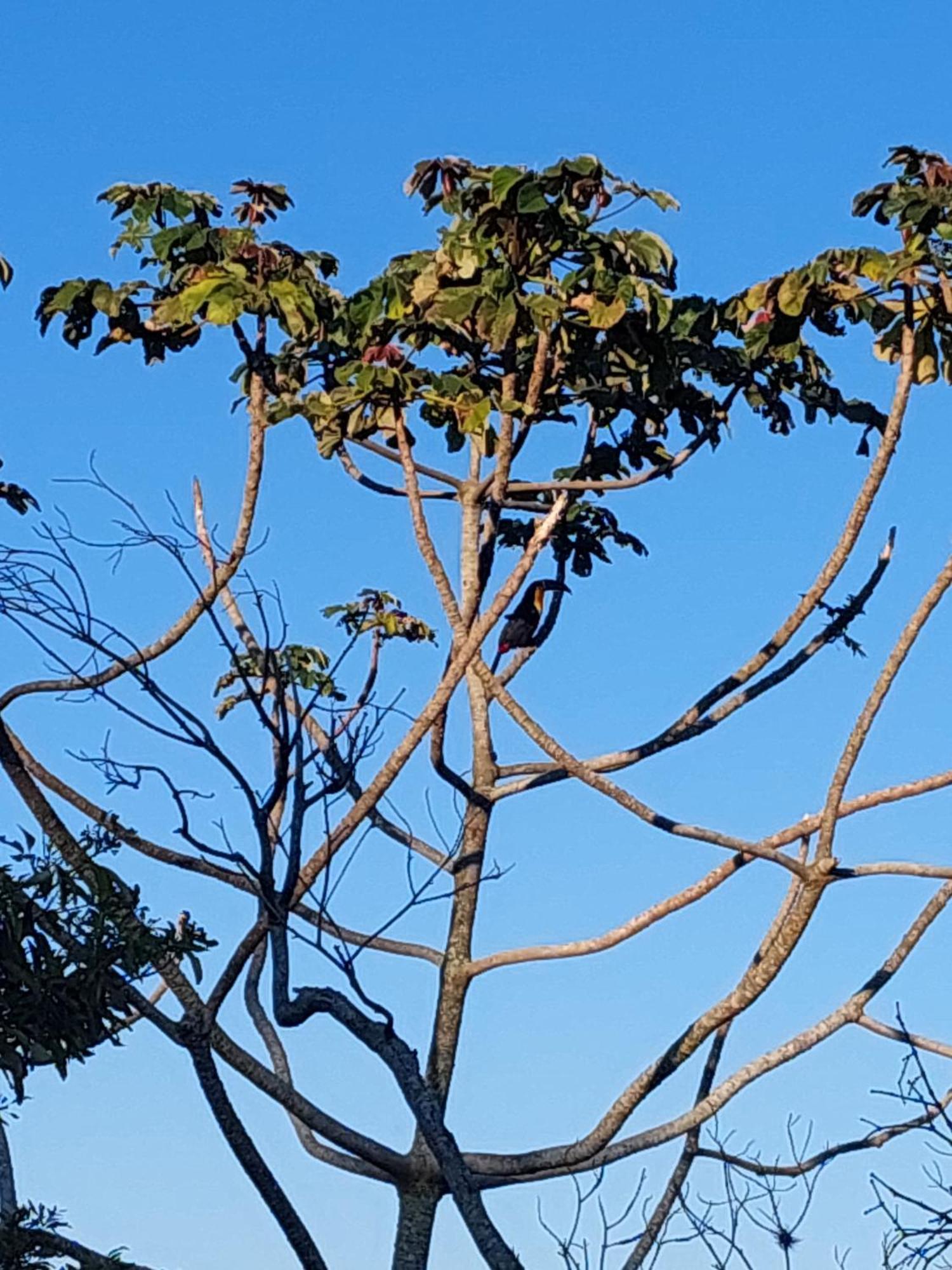 Florianópolis Chale Com Hidromassagem酒店 外观 照片